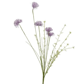 Beauty Home ΛΟΥΛΟΥΔΙ  60cm