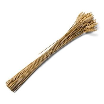 Beauty Home ΑΠΟΞΗΡΑΜΕΝΟ ΣΤΑΧΥ 70G 60CM