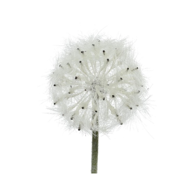 Beauty Home ΛΟΥΛΟΥΔΙ 50CM