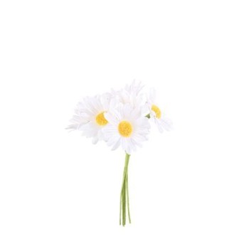 Beauty Home ΜΑΡΓΑΡΙΤΕΣ 6 ΤΜΧ 4,5 x 12
cm