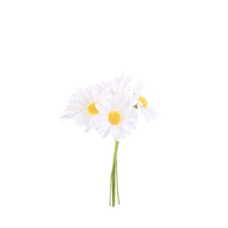 Beauty Home ΜΑΡΓΑΡΙΤΕΣ 6 ΤΜΧ 4,5 x 12
cm