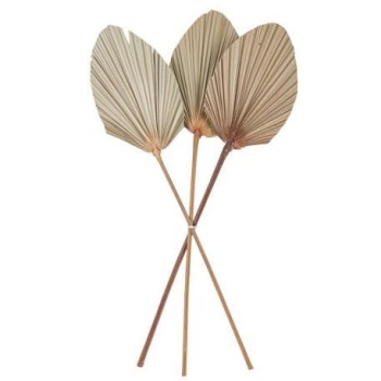 Beauty Home ΦΥΛΛΑ ΠΑΛΜΑ ΣΕΤ 3 ΤΜΧ 60 x 15 cm