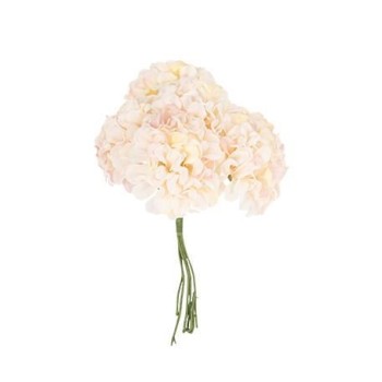 Beauty Home 6 ΟΡΤΑΝΣΙΕΣ 10cm