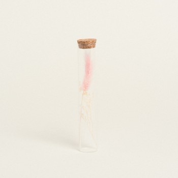 Beauty Home ΓΥΑΛΙΝΟΣ ΣΩΛΗΝΑΣ ΜΕ ΚΛΑΔΙΑ 3 x 18 cm