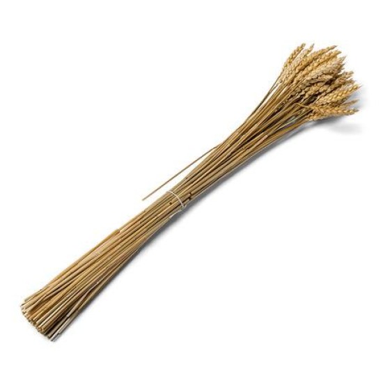 Beauty Home ΑΠΟΞΗΡΑΜΕΝΟ ΣΤΑΧΥ 70G 60CM Beauty Home ΑΠΟΞΗΡΑΜΕΝΟ ΣΤΑΧΥ 70G 60CM