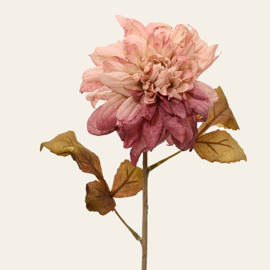 Beauty Home ΛΟΥΛΟΥΔΙ ΝΤΑΛΙΑ 75 CM Beauty Home ΛΟΥΛΟΥΔΙ ΝΤΑΛΙΑ 75 CM