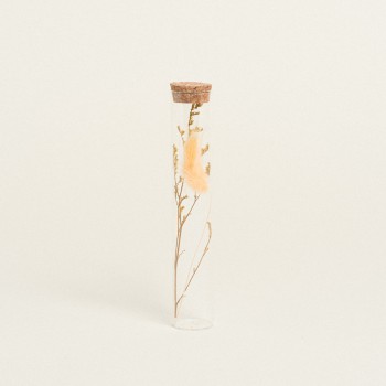 Beauty Home ΓΥΑΛΙΝΟΣ ΣΩΛΗΝΑΣ ΜΕ ΚΛΑΔΙΑ 3 x 18 cm