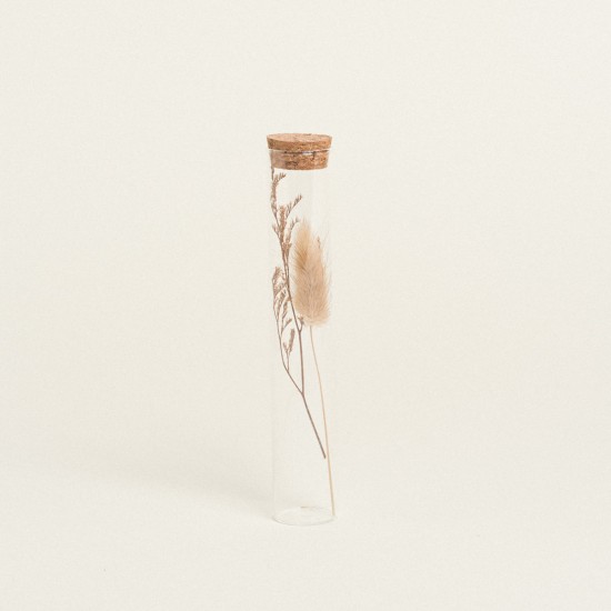 Beauty Home ΓΥΑΛΙΝΟΣ ΣΩΛΗΝΑΣ ΜΕ ΚΛΑΔΙΑ 3 x 18 cm  Μπεζ