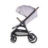 2 in 1 Baby stroller + car seat Ultera cloud