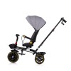 Tricycle with canopy Max Sport anthracite