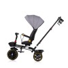 Tricycle with canopy Max Sport anthracite