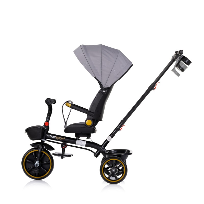 Tricycle with canopy Max Sport anthracite