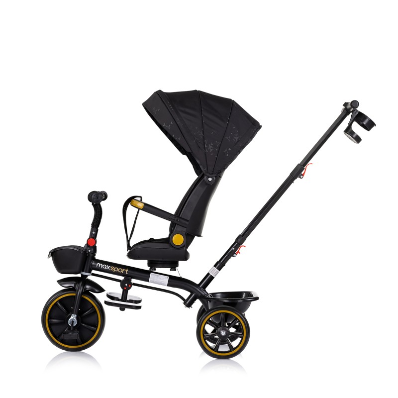 Tricycle with canopy Max Sport blackberry