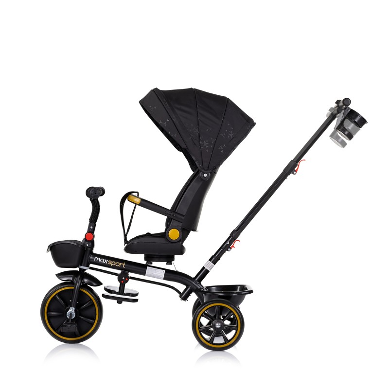 Tricycle with canopy Max Sport blackberry
