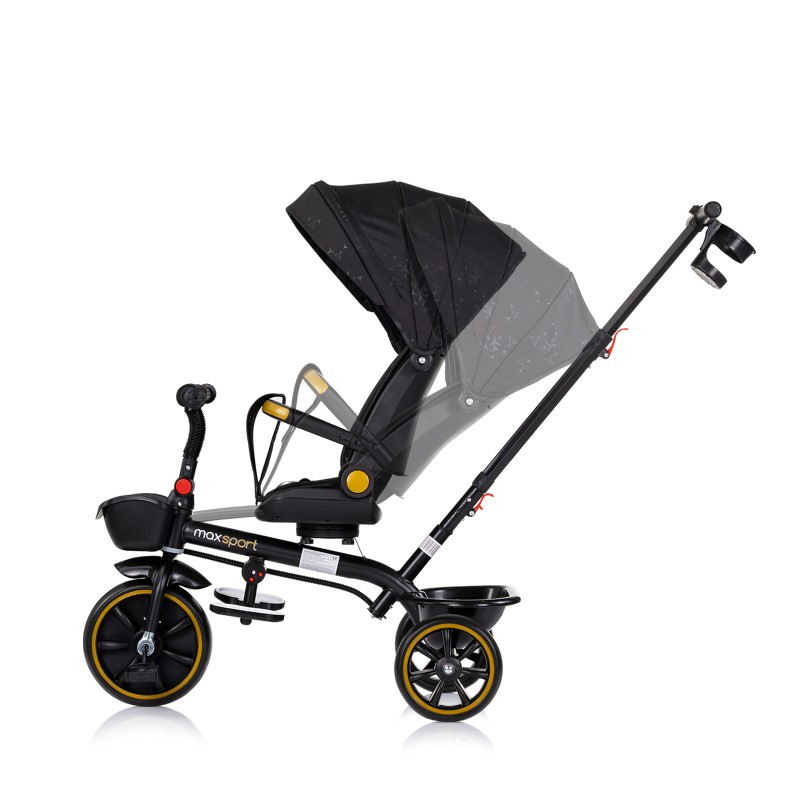 Tricycle with canopy Max Sport blackberry