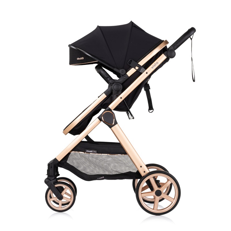 Πολυκαρότσι Μωρού 2 σε 1 - VISTA blackberry