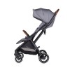 Twin Stroller Twinity cloud