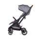 Twin Stroller Twinity cloud