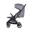 Twin Stroller Twinity cloud