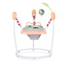 Activity baby center/ jumper Jumpy Car pink