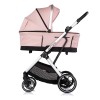 Baby stroller 3 in 1 Aurora powder pink