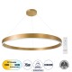 GloboStar® VENOM 61184 Κρεμαστό Φωτιστικό Δαχτυλίδι-Κύκλος LED CCT 75W 8818lm 120° AC 220-240V - Εναλλαγή Φωτισμού μέσω Τηλεχειριστηρίου All In One Ψυχρό 6000K+Φυσικό 4500K+Θερμό 2700K Dimmable Φ100cm - Χρυσό Βούρτσας - 3 Years Warranty GloboStar® VENOM 61184 Κρεμαστό Φωτιστικό Δαχτυλίδι-Κύκλος LED CCT 75W 8818lm 120° AC 220-240V - Εναλλαγή Φωτισμού μέσω Τηλεχειριστηρίου All In One Ψυχρό 6000K+Φυσικό 4500K+Θερμό 2700K Dimmable Φ100cm - Χρυσό Βούρτσας - 3 Years Warranty