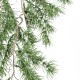 GloboStar® Artificial Garden ASPARAGUS HANGING PLANT 20621 Τεχνητό Διακοσμητικό Κρεμαστό Φυτό Σπαράγγι Υ98cm GloboStar® Artificial Garden ASPARAGUS HANGING PLANT 20621 Τεχνητό Διακοσμητικό Κρεμαστό Φυτό Σπαράγγι Υ98cm