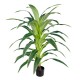 GloboStar® Artificial Garden BRAZILIAN IRON 20020 - Τεχνητό Διακοσμητικό Φυτό Αρωματική Δράκαινα Υ140cm