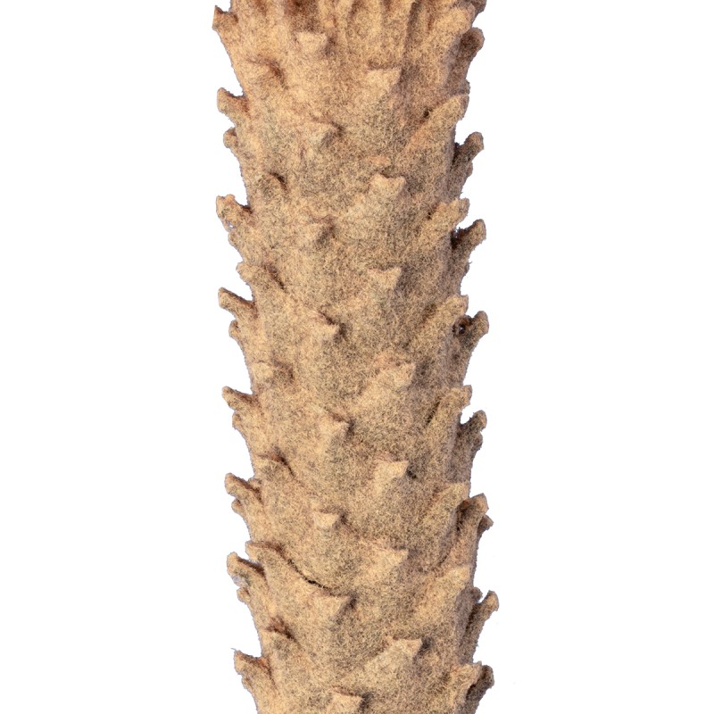 GloboStar® Artificial Garden CYCADS 20023 Τεχνητό Διακοσμητικό Φυτό Αρωματική Κύκας Υ140cm