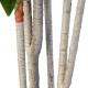 GloboStar® Artificial Garden DRACAENA SILK 20044 - Τεχνητό Διακοσμητικό Φυτό Δράκαινα Υ170cm