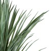 GloboStar® Artificial Garden BEAUCARNEA PALM TREE 20046 Τεχνητό Διακοσμητικό Φυτό Κυρτόφυλλος Μπουκαρνέα Υ165cm