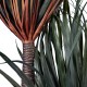 GloboStar® Artificial Garden PANDANUS TREE 20050 Τεχνητό Διακοσμητικό Φυτό Πάνδανος Υ210cm GloboStar® Artificial Garden PANDANUS TREE 20050 Τεχνητό Διακοσμητικό Φυτό Πάνδανος Υ210cm