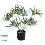 GloboStar® Artificial Garden BROADLEAF LADY PALM 20059 Τεχνητό Διακοσμητικό Φυτό Πλατύφυλλος Φοίνικας Μπαμπού Υ50cm