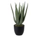 GloboStar® Artificial Garden ALOE 20064 Τεχνητό Διακοσμητικό Φυτό Αλόη Υ38cm GloboStar® Artificial Garden ALOE 20064 Τεχνητό Διακοσμητικό Φυτό Αλόη Υ38cm