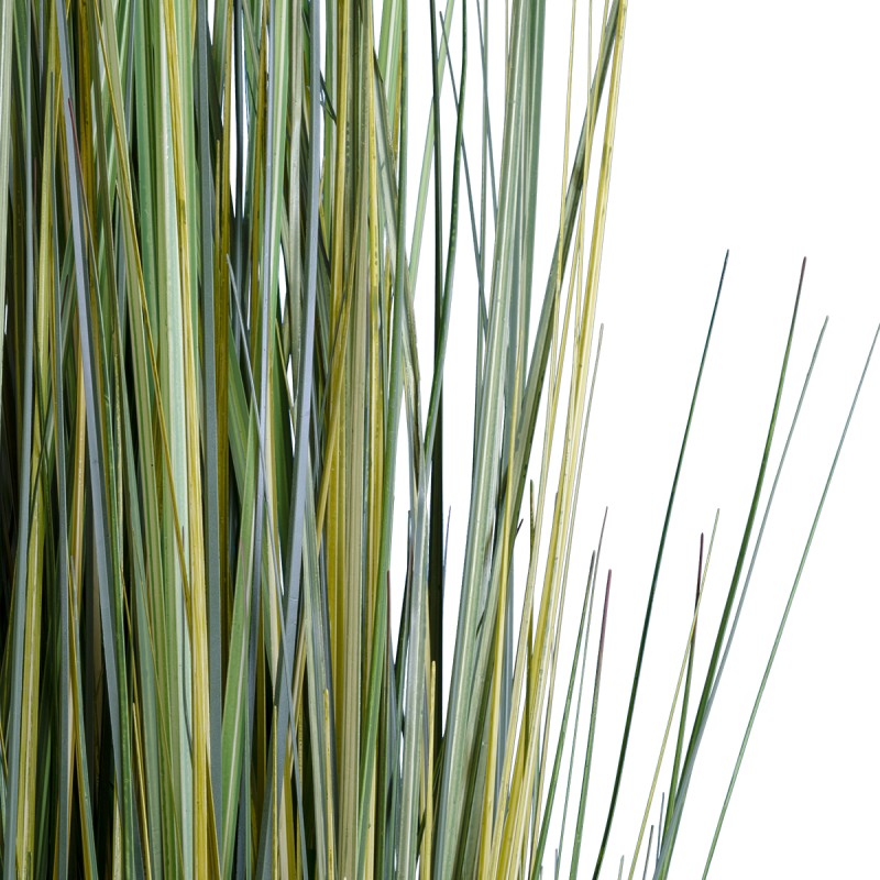 GloboStar® Artificial Garden PAMPAS GRASS 20072 Τεχνητό Διακοσμητικό Φυτό Γρασίδι της Πάμπας Υ170cm