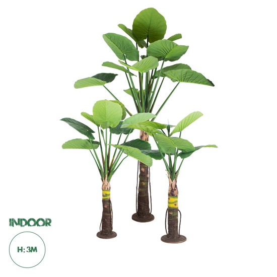 GloboStar® Artificial Garden TARO SET 20089 Τεχνητό Διακοσμητικό Σετ Φυτών Κολοκασία A:Υ300cm B:Υ210cm C:Υ160cm GloboStar® Artificial Garden TARO SET 20089 Τεχνητό Διακοσμητικό Σετ Φυτών Κολοκασία A:Υ300cm B:Υ210cm C:Υ160cm