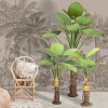 GloboStar® Artificial Garden TARO SET 20089 Τεχνητό Διακοσμητικό Σετ Φυτών Κολοκασία A:Υ300cm B:Υ210cm C:Υ160cm