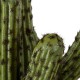 GloboStar® Artificial Garden CARNEGIEA CACTUS 20100 Τεχνητό Διακοσμητικό Φυτό Κάκτος Σαγκουάρο Υ63cm GloboStar® Artificial Garden CARNEGIEA CACTUS 20100 Τεχνητό Διακοσμητικό Φυτό Κάκτος Σαγκουάρο Υ63cm