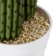 GloboStar® Artificial Garden CARNEGIEA CACTUS 20100 Τεχνητό Διακοσμητικό Φυτό Κάκτος Σαγκουάρο Υ63cm GloboStar® Artificial Garden CARNEGIEA CACTUS 20100 Τεχνητό Διακοσμητικό Φυτό Κάκτος Σαγκουάρο Υ63cm