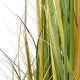GloboStar® Artificial Garden PAMPAS GRASS 20108 Τεχνητό Διακοσμητικό Φυτό Γρασίδι της Πάμπας Υ150cm
