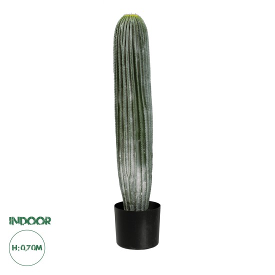 GloboStar® Artificial Garden CARNEGIEA CACTUS 20124 Τεχνητό Διακοσμητικό Φυτό Κάκτος Σαγκουάρο Υ70cm GloboStar® Artificial Garden CARNEGIEA CACTUS 20124 Τεχνητό Διακοσμητικό Φυτό Κάκτος Σαγκουάρο Υ70cm