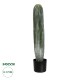 GloboStar® Artificial Garden CARNEGIEA CACTUS 20124 Τεχνητό Διακοσμητικό Φυτό Κάκτος Σαγκουάρο Υ70cm GloboStar® Artificial Garden CARNEGIEA CACTUS 20124 Τεχνητό Διακοσμητικό Φυτό Κάκτος Σαγκουάρο Υ70cm