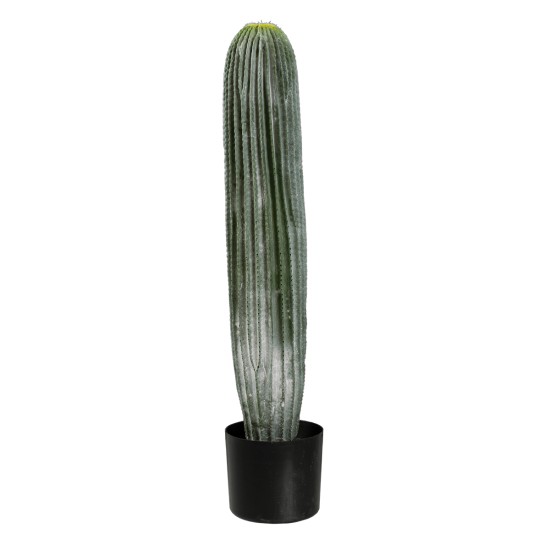GloboStar® Artificial Garden CARNEGIEA CACTUS 20124 Τεχνητό Διακοσμητικό Φυτό Κάκτος Σαγκουάρο Υ70cm GloboStar® Artificial Garden CARNEGIEA CACTUS 20124 Τεχνητό Διακοσμητικό Φυτό Κάκτος Σαγκουάρο Υ70cm