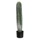 GloboStar® Artificial Garden CARNEGIEA CACTUS 20124 Τεχνητό Διακοσμητικό Φυτό Κάκτος Σαγκουάρο Υ70cm GloboStar® Artificial Garden CARNEGIEA CACTUS 20124 Τεχνητό Διακοσμητικό Φυτό Κάκτος Σαγκουάρο Υ70cm