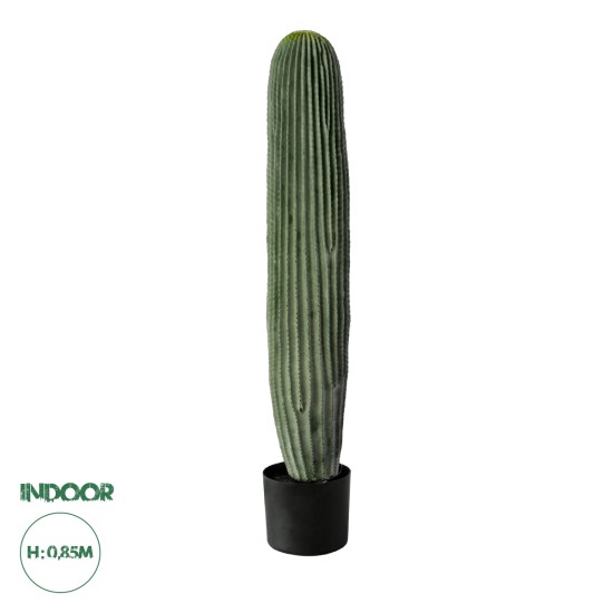GloboStar® Artificial Garden CARNEGIEA CACTUS 20125 Τεχνητό Διακοσμητικό Φυτό Κάκτος Σαγκουάρο Υ85cm GloboStar® Artificial Garden CARNEGIEA CACTUS 20125 Τεχνητό Διακοσμητικό Φυτό Κάκτος Σαγκουάρο Υ85cm