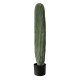 GloboStar® Artificial Garden CARNEGIEA CACTUS 20125 Τεχνητό Διακοσμητικό Φυτό Κάκτος Σαγκουάρο Υ85cm GloboStar® Artificial Garden CARNEGIEA CACTUS 20125 Τεχνητό Διακοσμητικό Φυτό Κάκτος Σαγκουάρο Υ85cm