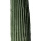 GloboStar® Artificial Garden CARNEGIEA CACTUS 20125 Τεχνητό Διακοσμητικό Φυτό Κάκτος Σαγκουάρο Υ85cm GloboStar® Artificial Garden CARNEGIEA CACTUS 20125 Τεχνητό Διακοσμητικό Φυτό Κάκτος Σαγκουάρο Υ85cm