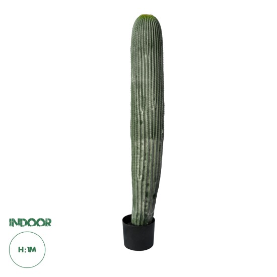 GloboStar® Artificial Garden CARNEGIEA CACTUS 20126 Τεχνητό Διακοσμητικό Φυτό Κάκτος Σαγκουάρο Υ100cm GloboStar® Artificial Garden CARNEGIEA CACTUS 20126 Τεχνητό Διακοσμητικό Φυτό Κάκτος Σαγκουάρο Υ100cm