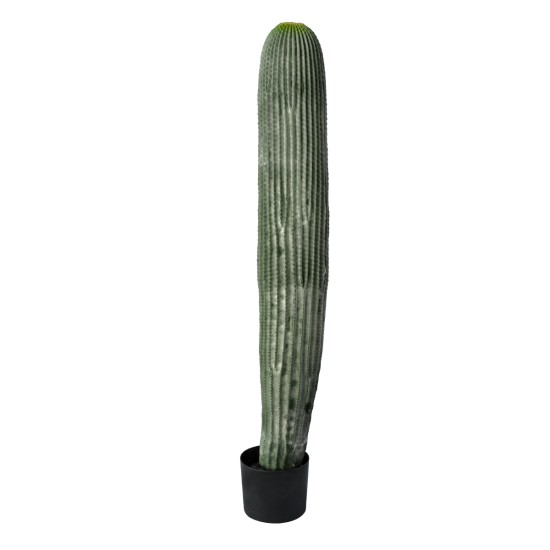 GloboStar® Artificial Garden CARNEGIEA CACTUS 20126 Τεχνητό Διακοσμητικό Φυτό Κάκτος Σαγκουάρο Υ100cm GloboStar® Artificial Garden CARNEGIEA CACTUS 20126 Τεχνητό Διακοσμητικό Φυτό Κάκτος Σαγκουάρο Υ100cm