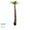 GloboStar® Artificial Garden PACHYPODIUM LAMEREI PALM TREE 20130 Τεχνητό Διακοσμητικό Φυτό Φοίνικας της Μαγαδασκάρης Υ175cm